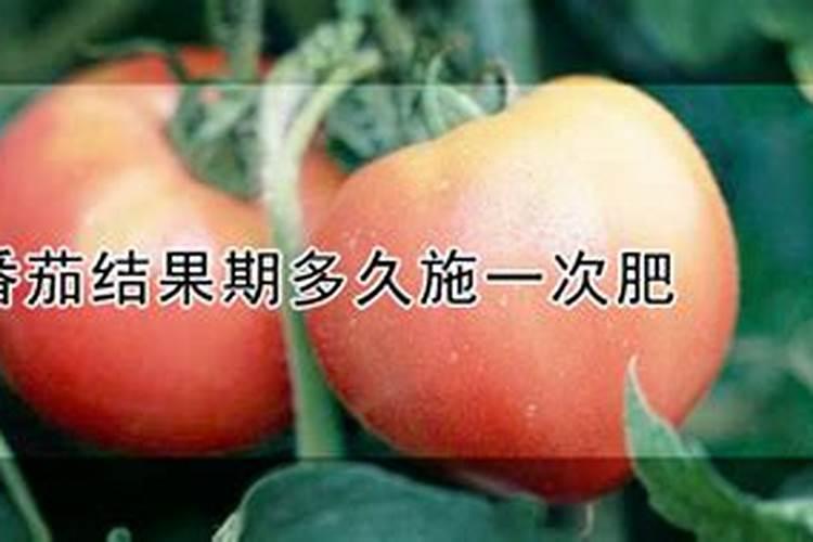 中国水溶肥十大品牌