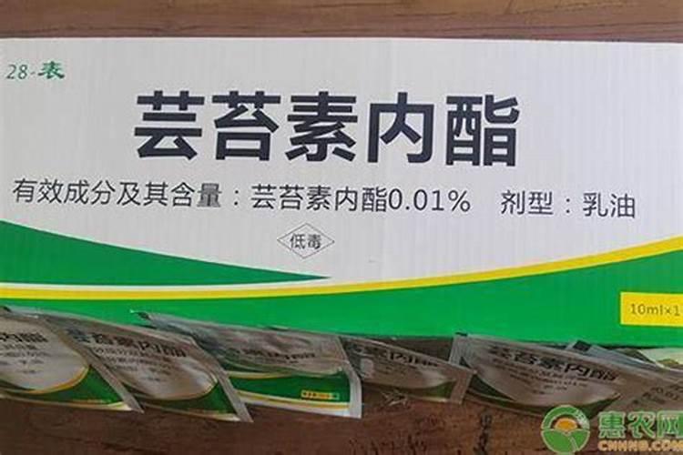 芸苔素使用禁忌有哪些 芸苔素有什么作用