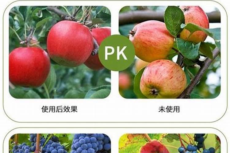 苹果树现在可以使用芸乐收吗？