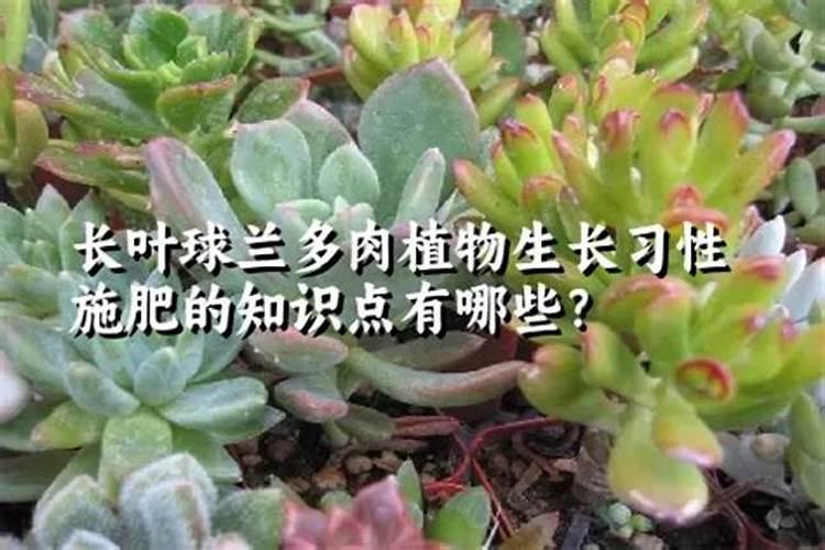 华南冬麦区的小麦演变经历了那几个阶段？