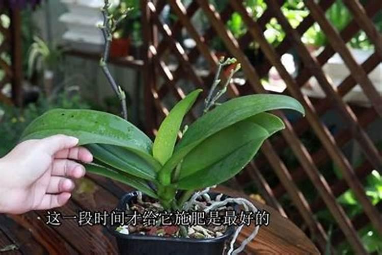 氯化钾镁肥属于哪类肥料？生产中各微量元素含量指标是多少？依据的是国家...