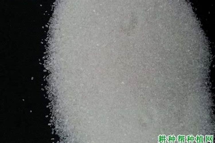 水培蔬菜肥料配方