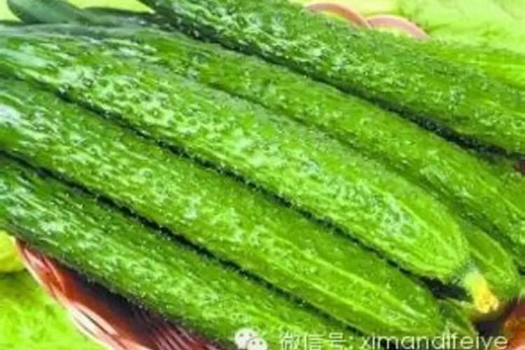 黄瓜缺硼有哪些症了六,,