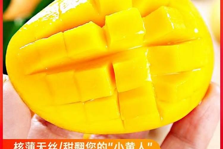 芒果施肥用什么肥料好呢