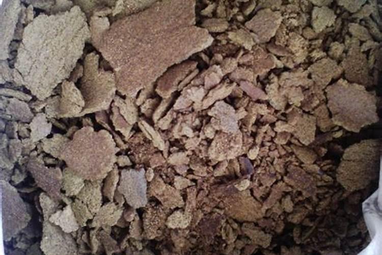 种菜多久施一次豆饼肥 “多久施用一次豆饼肥？”