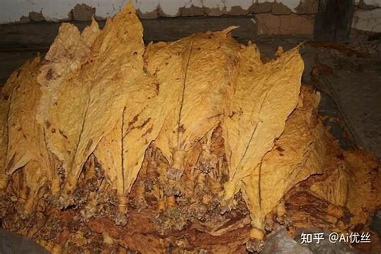 烟草专用肥的养分释放特点以及对烟株生长发育的影响