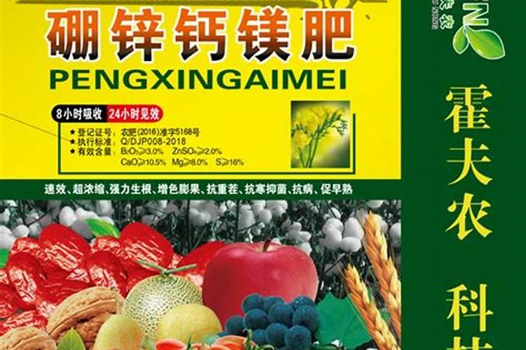 如何施用硼肥？