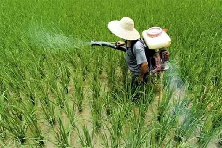 农户使用农药后引发的污染属于何种影响因素