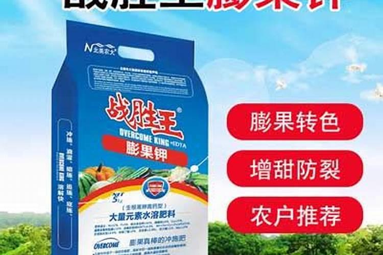 哈密瓜膨果期怎样施肥