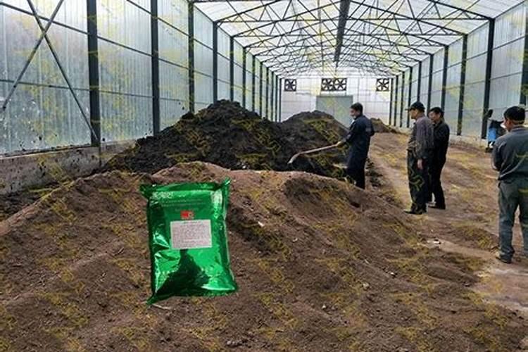 羊粪,马粪,牛粪可以做肥料吗