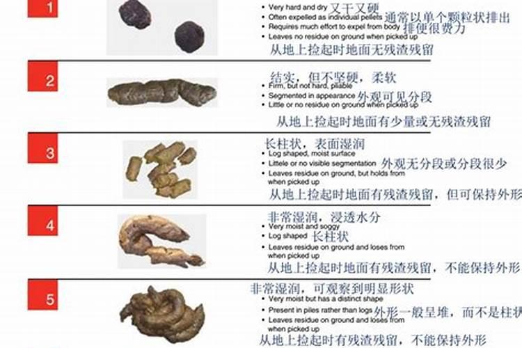 月明潭乡的介绍
