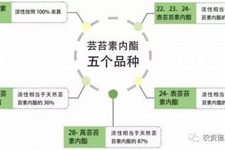天然芸苔素内酯5.研究背景及功效