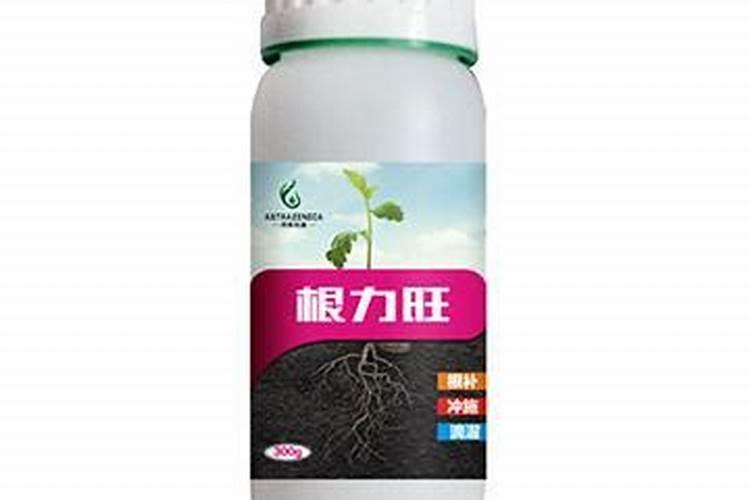 黄叶死苗一喷绿喷好后第二天吃果蔬有毒吗？