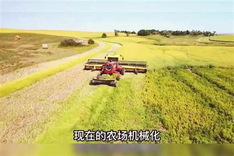 一亩地大概需要多少有机肥