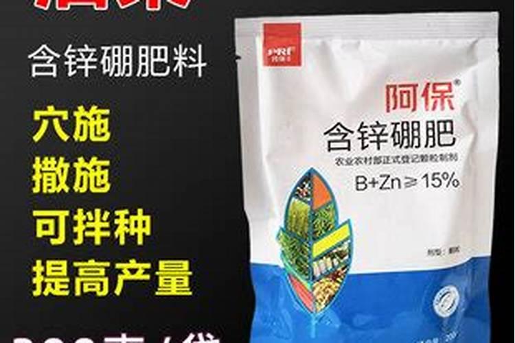 为什么风信子只开花不长个子