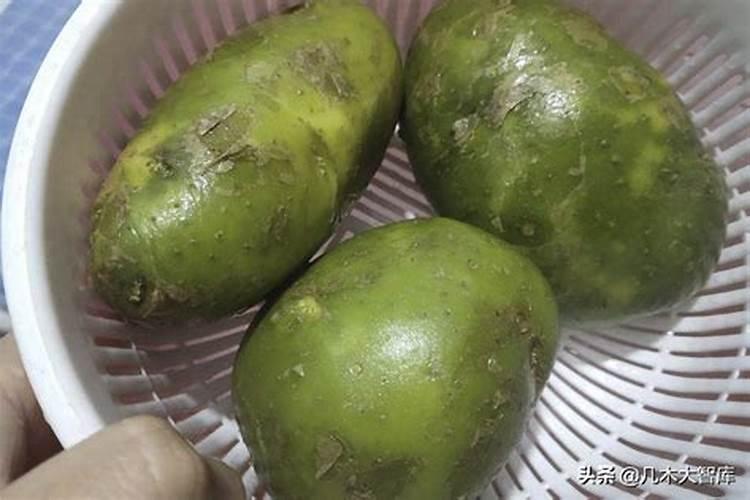 氮磷钾对马铃薯的茎叶生长和光合作用有哪些影响？