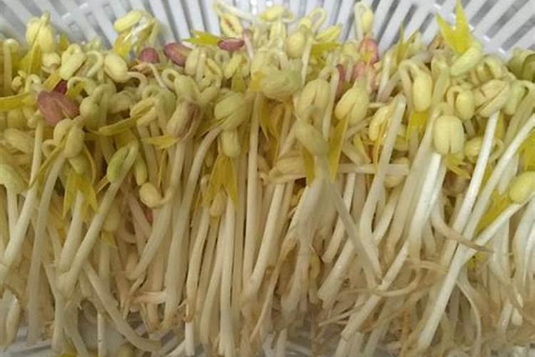 磷肥和钾肥的作用分别是什么