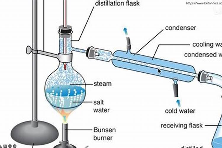 鱼塘里的水氨氮过高怎么处理？