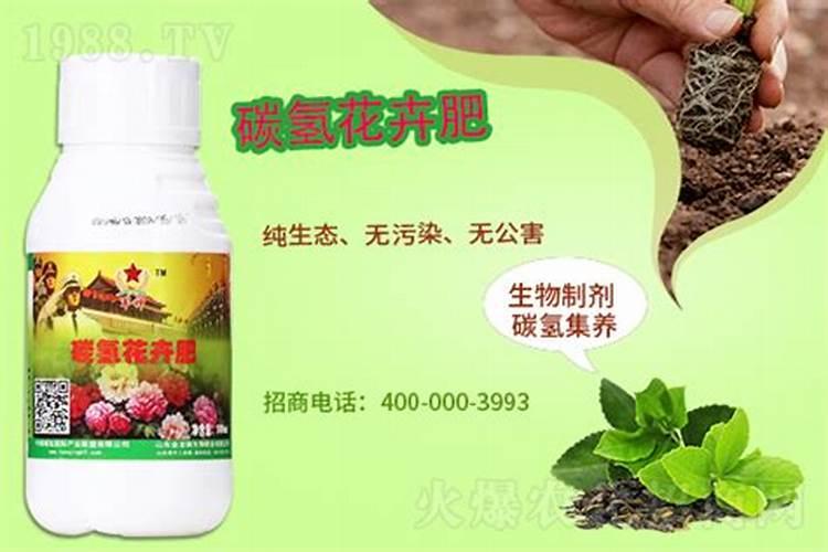 一般施肥多少天能吸收