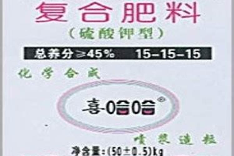 多肉如何养