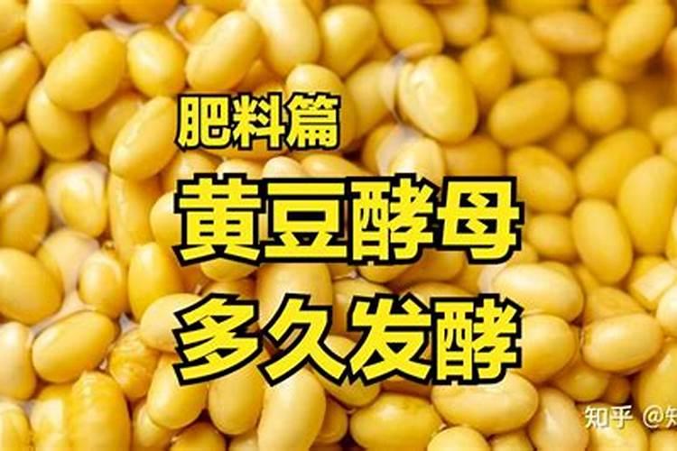 用大豆做底肥的使用方法怎样用黄豆做肥料