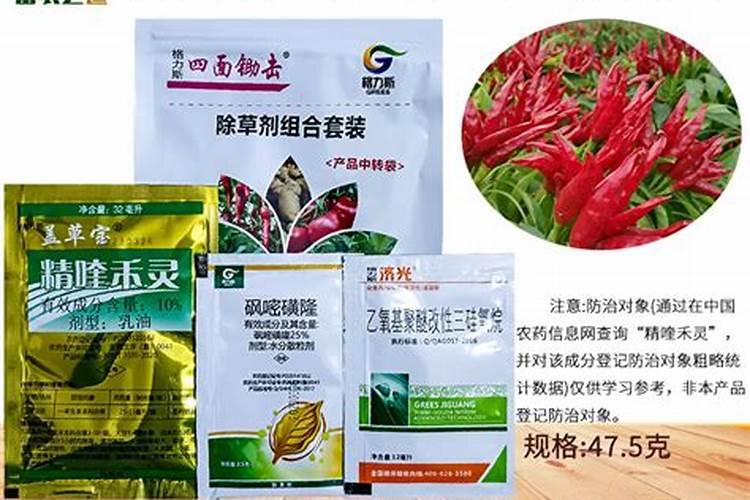 辣椒生了螨虫、长的慢,打芸苔素行吗？