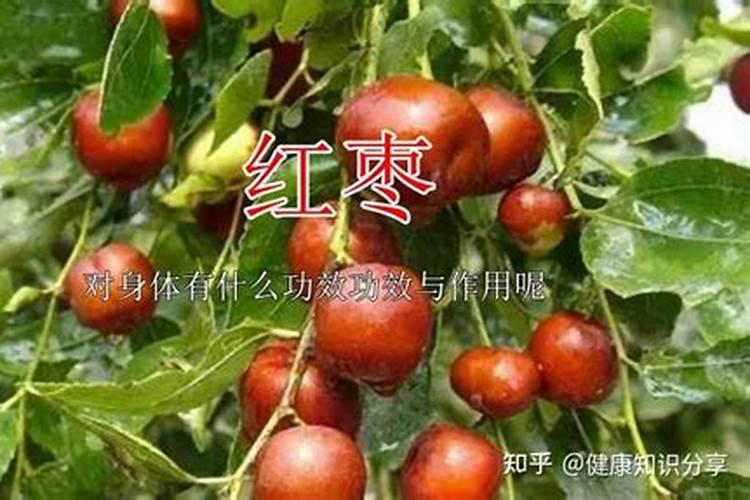 红枣种植可以只施用磷酸二氢钾吗？