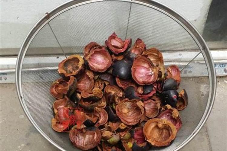 山竹壳被晒干了能有怎样的作用