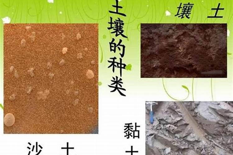 养法师用什么土最好