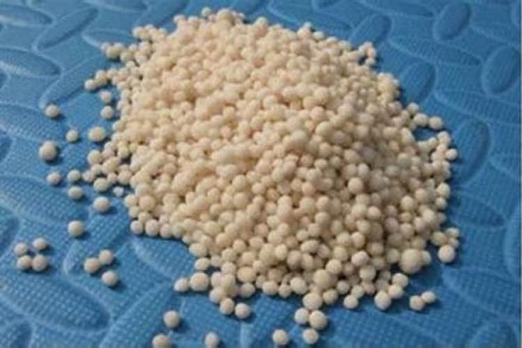 蝴蝶兰施什么肥最好