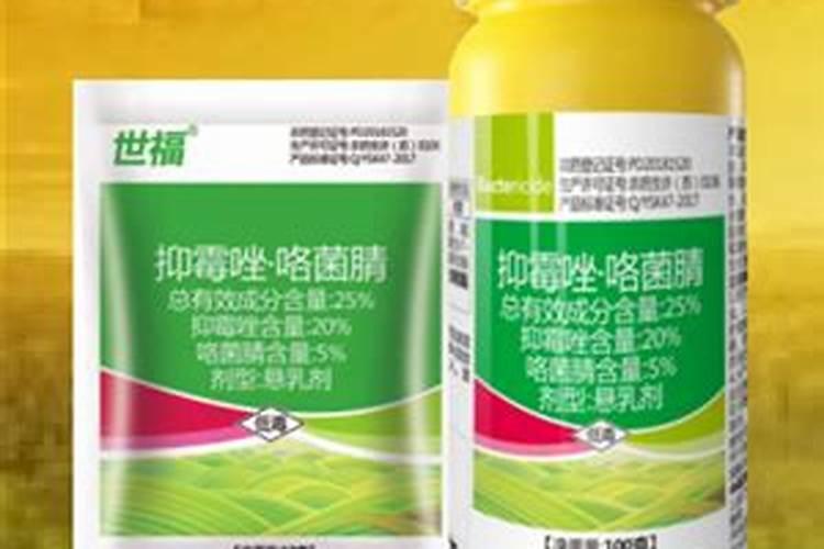 韭黄烂叶喷什么农药