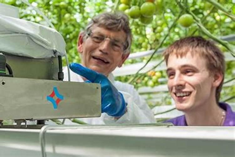 果树冲施肥多久用一次,冲施肥与水溶肥的区别,冲施肥的效果怎么样？