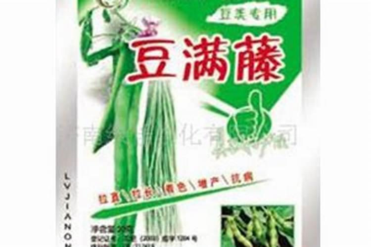 北方辽宁葫芦岛春天几月种小白菜？