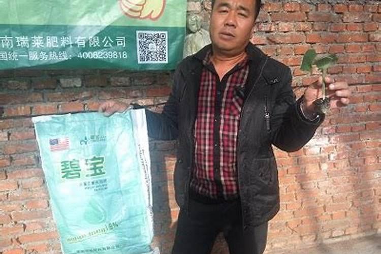 生产水溶肥需要办理哪些证件手续合法