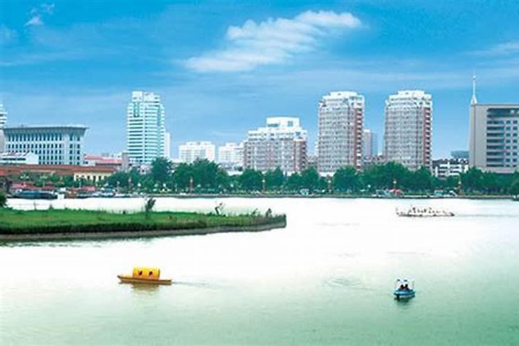 蓝宝石葡萄苗适合什么地方种植葡萄苗基地批发兰宝石哪里有蓝宝石葡萄...