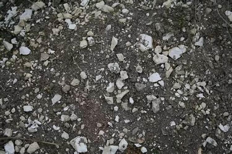 白鲜皮地里上羊粪效果怎么样？