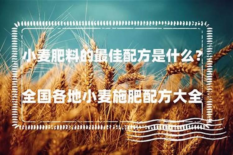 氮肥兑水比例
