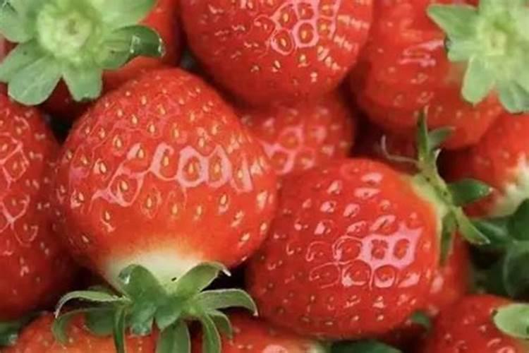 ...霉菌这三样能混用吗,如果混用可不可以用在草莓上？