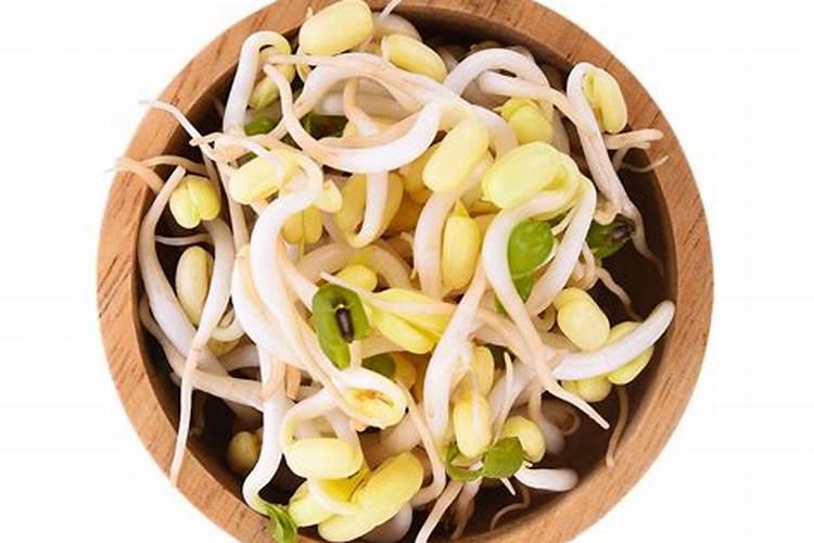 生黄豆做肥料最佳最简单方法