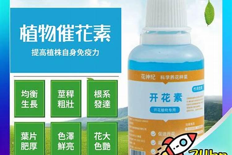 叶面肥可以灌根吗 叶面肥多长时间能吸收