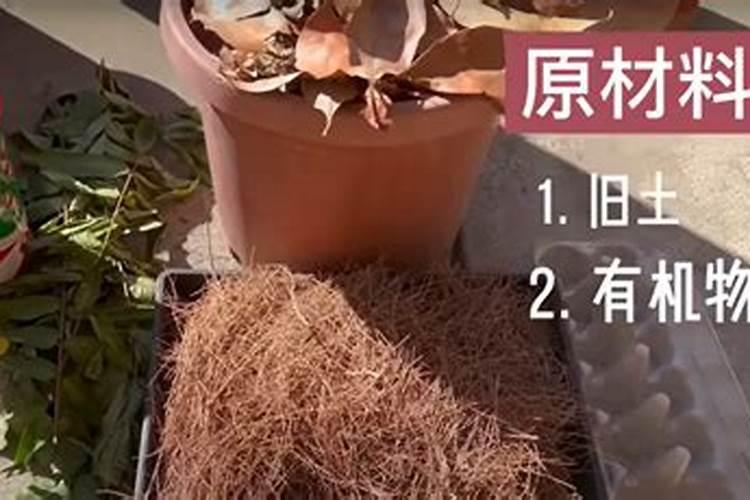 有机肥跟有机营养土有什么区别吗