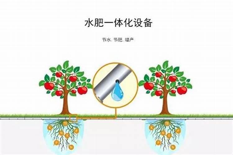 水溶肥排名