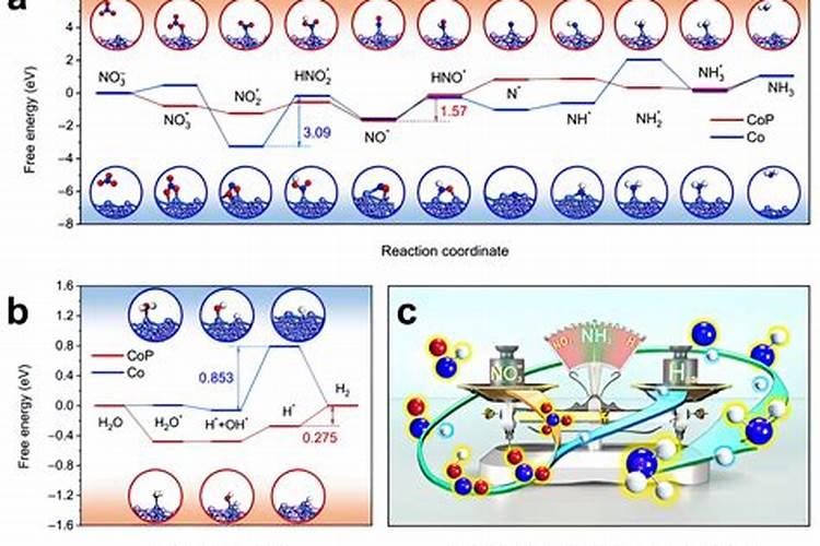 饮用水中出现氯化胺还能不能喝