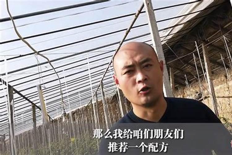 石榴树栽了三个月了还没有发芽怎么办？