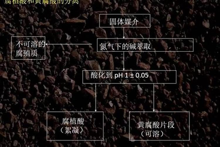 提取黄腐酸钾技术哪种工艺最好
