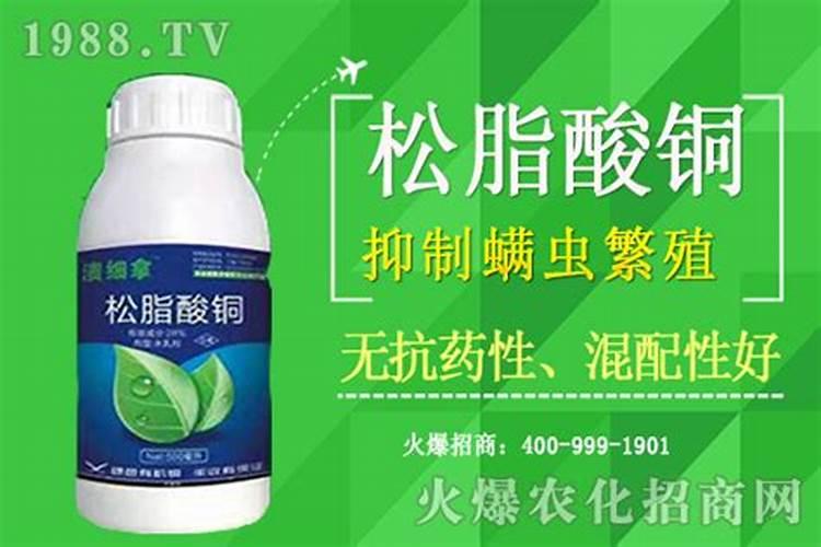 松脂酸铜可以和氨基酸叶面肥混配吗