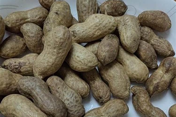 绿萝用什么肥料长得快