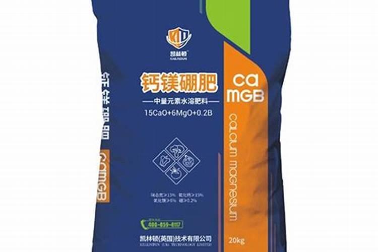 如何提高广玉兰移植的成活率