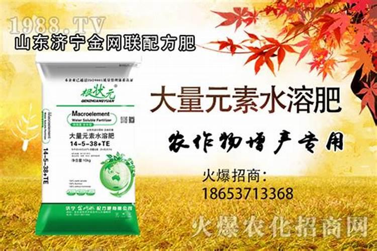 辣椒的田间管理方法