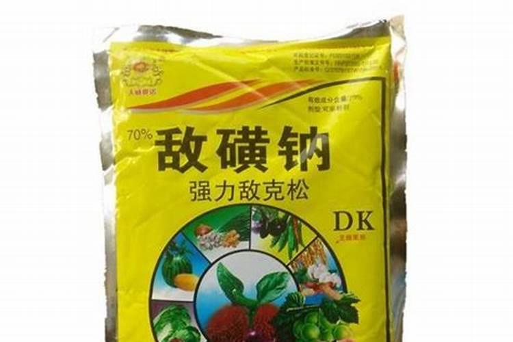 黄瓜如何打尖